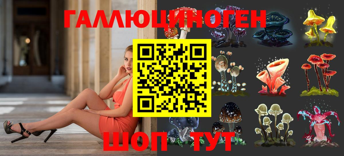 Людиново  Псилоцибиновые грибы Psilocybine cubensis  Вход с VPN 